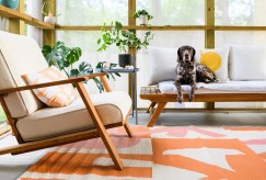 Creating a Pet-Friendly Space: Tips for Accommodating Multiple Types of Animals